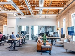 Tired Of Corporate Politics Limiting Your Career?