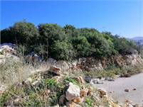 Land for Sale Edde Jbeil Area 1170Sqm 