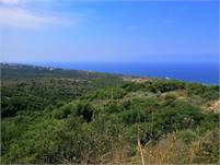Land for Sale Berbara Jbeil Area 864Sqm