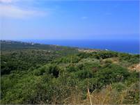 Land for Sale Berbara Jbeil Area 864Sqm