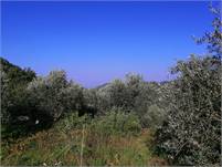 Land for Sale Zebdine Jbeil Area 1030Sqm